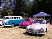 Beetle Show Rioz (4)